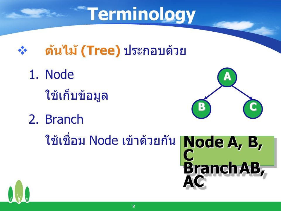 Terminology Node A, B, C Branch AB, AC ต้นไม้ (Tree) ประกอบด้วย