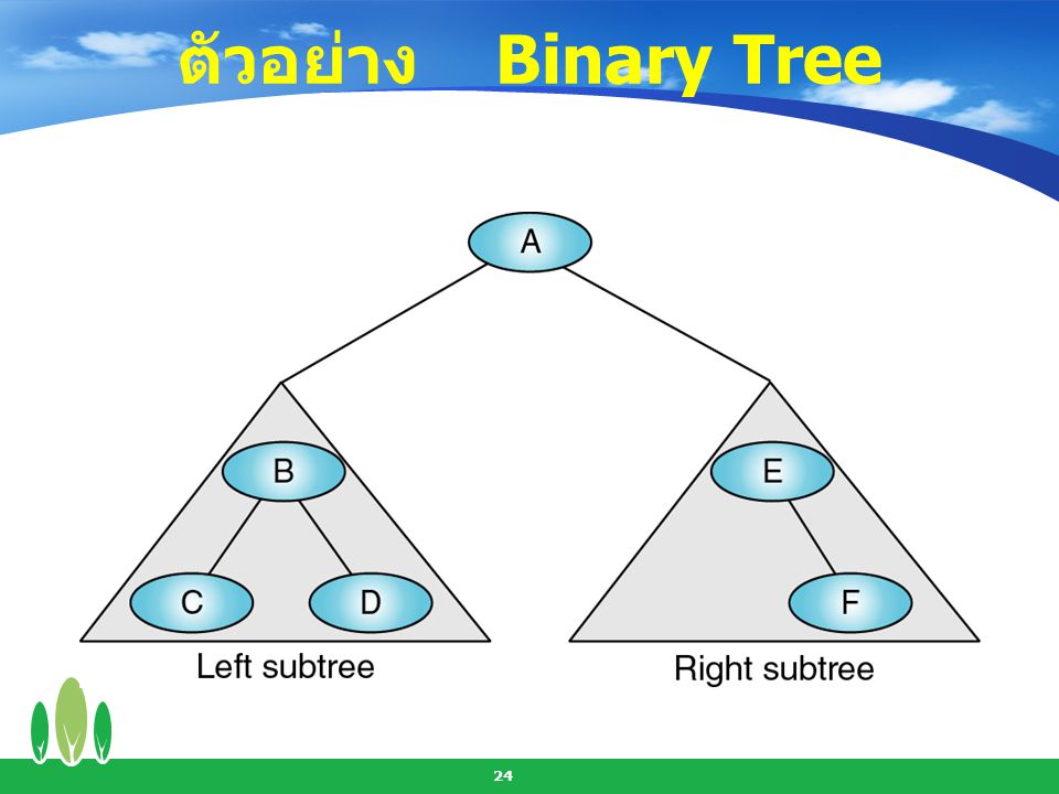 ตัวอย่าง Binary Tree