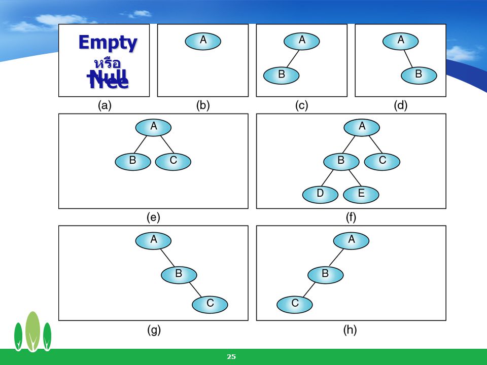 Empty หรือ Null Tree