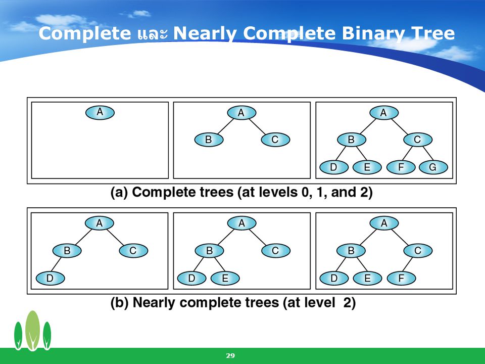 Complete และ Nearly Complete Binary Tree