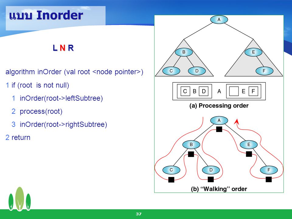 แบบ Inorder L N R algorithm inOrder (val root <node pointer>)