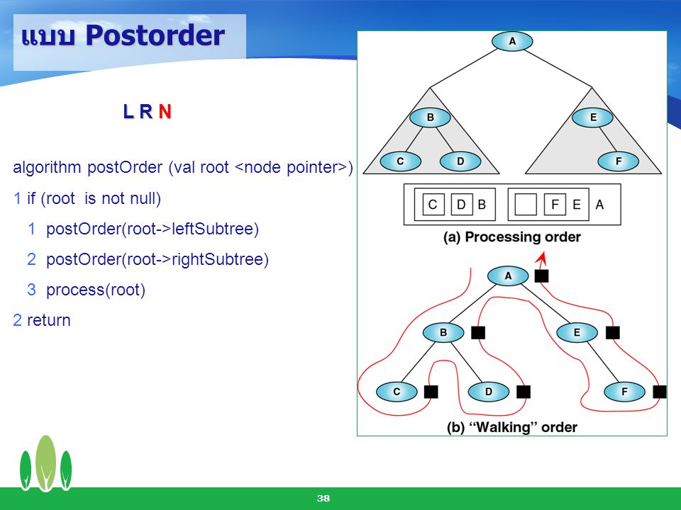 แบบ Postorder L R N. algorithm postOrder (val root <node pointer>) 1 if (root is not null) 1 postOrder(root->leftSubtree)