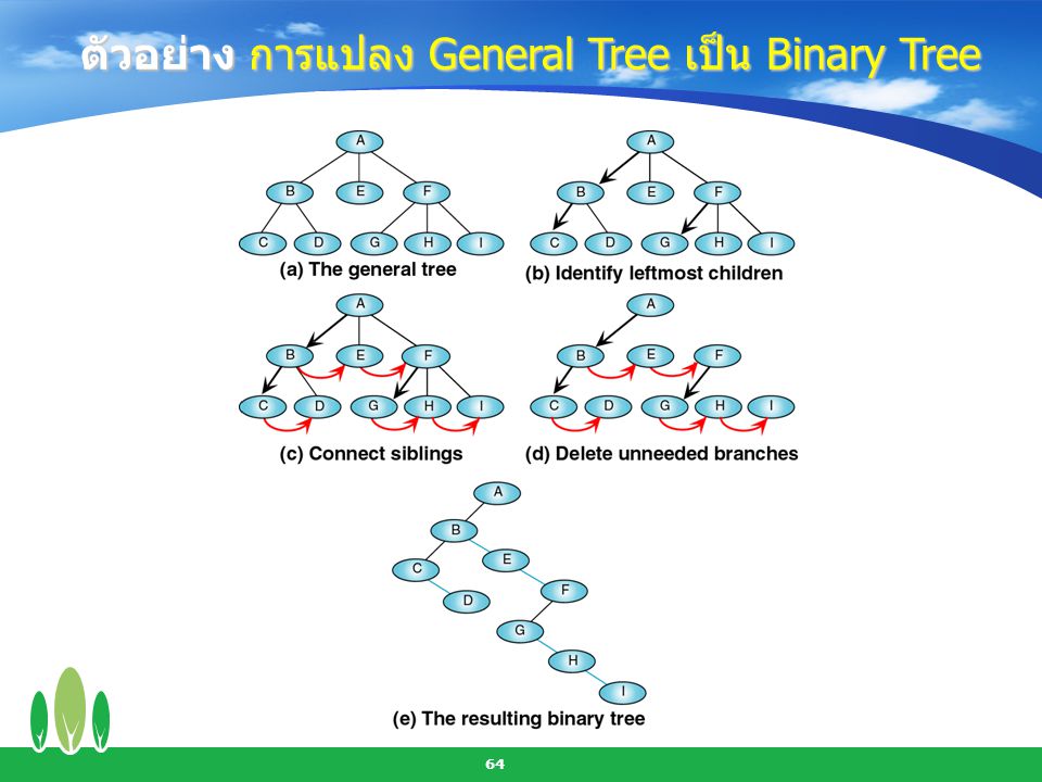 ตัวอย่าง การแปลง General Tree เป็น Binary Tree
