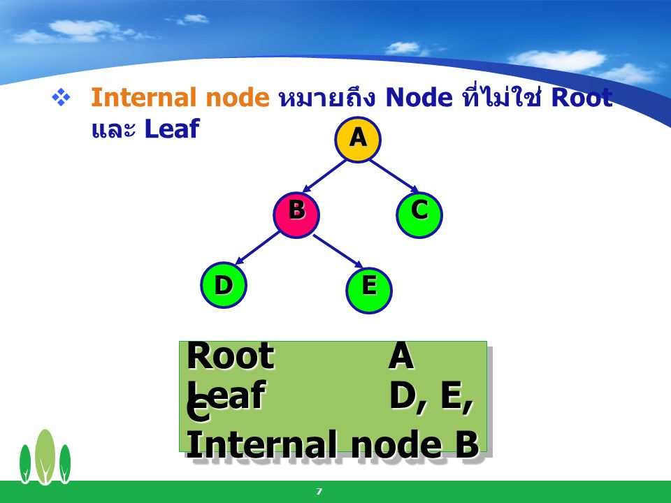 Root A Leaf D, E, C Internal node B