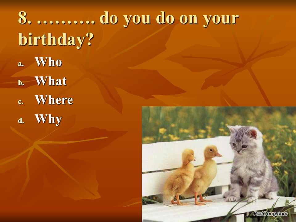 8. ………. do you do on your birthday