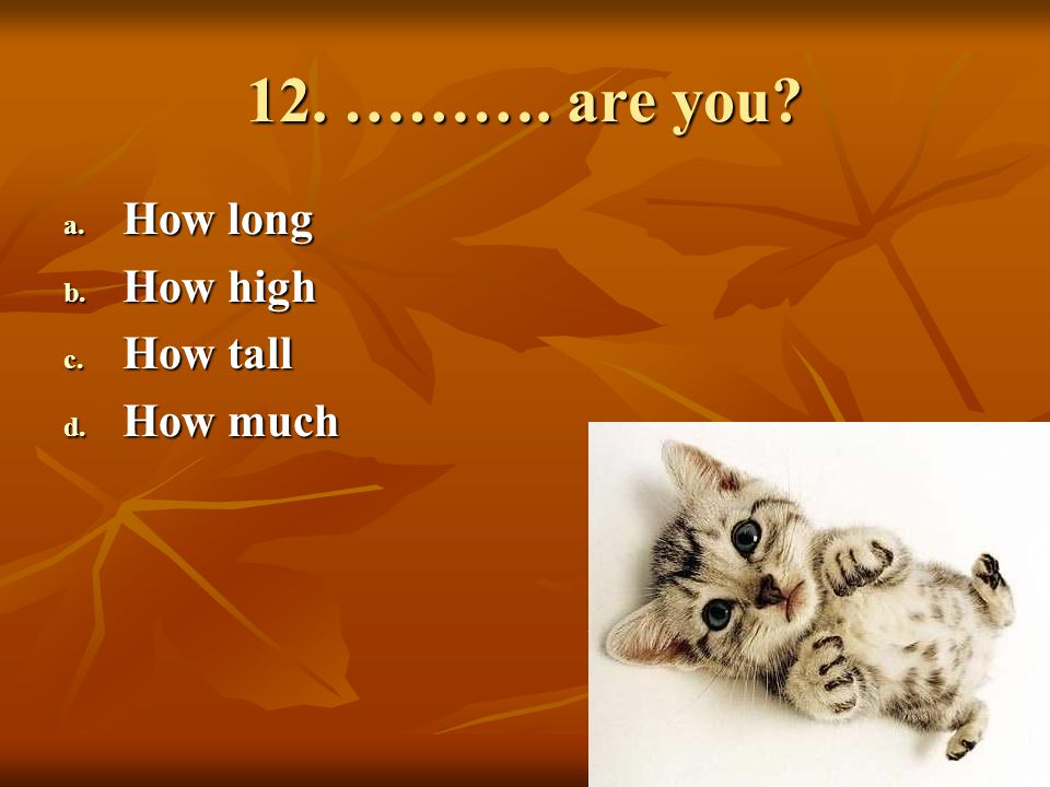 12. ………. are you How long How high How tall How much