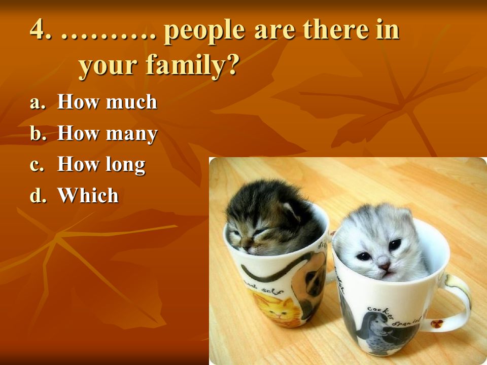 4. ………. people are there in your family