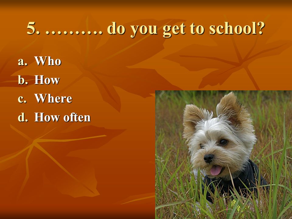 5. ………. do you get to school Who How Where How often