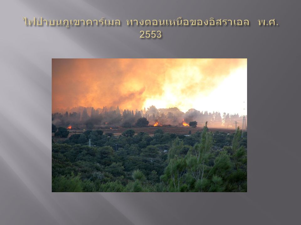 ไฟป่าบนภูเขาคาร์เมล ทางตอนเหนือของอิสราเอล พ.ศ. 2553