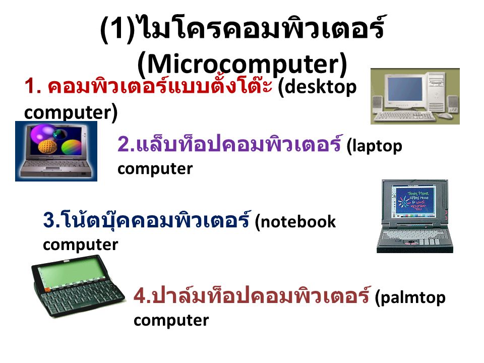 (1)ไมโครคอมพิวเตอร์ (Microcomputer)