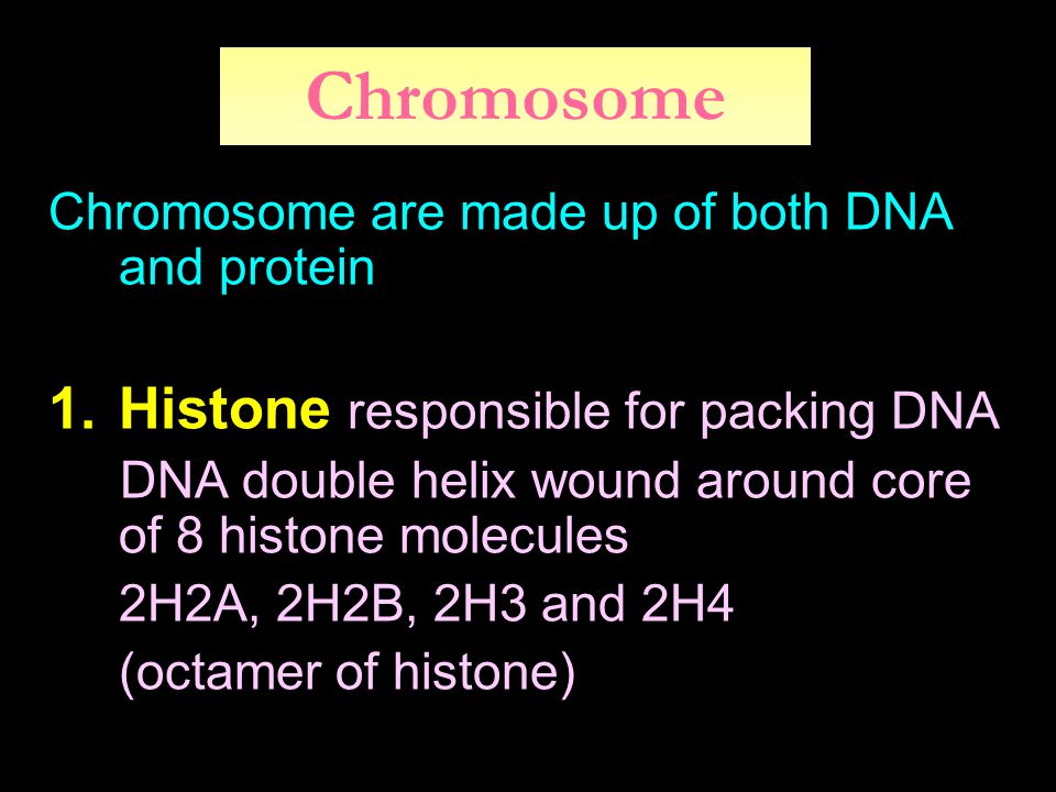 Chromosome Histone responsible for packing DNA