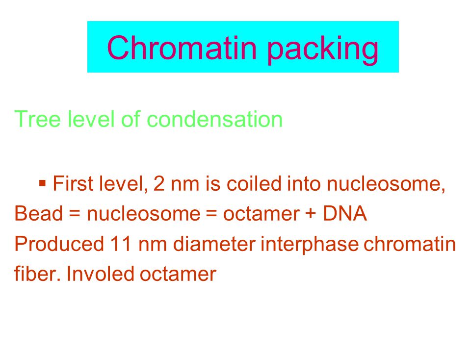 Chromatin packing Tree level of condensation