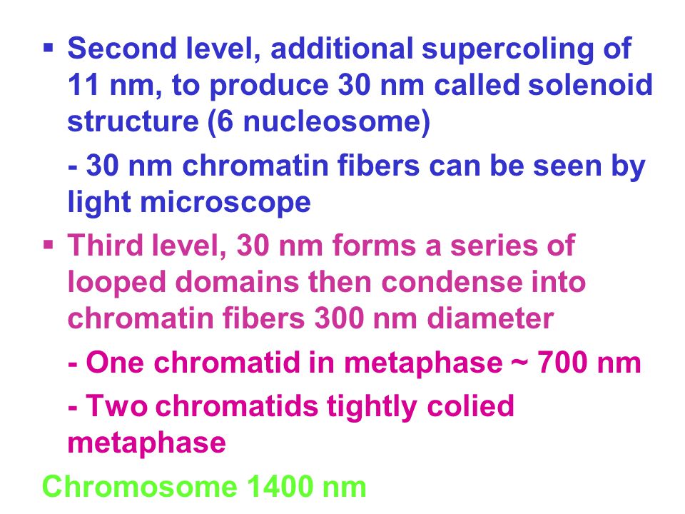 Second level, additional supercoling of 11 nm, to produce 30 nm called solenoid structure (6 nucleosome)