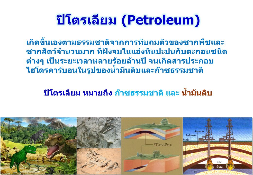 ปิโตรเลียม (Petroleum)