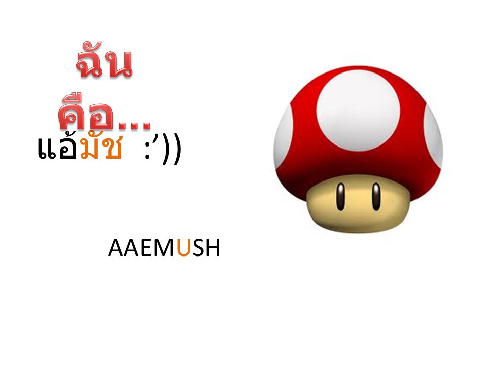ฉันคือ... แอ้มัช :’)) AAEMUSH