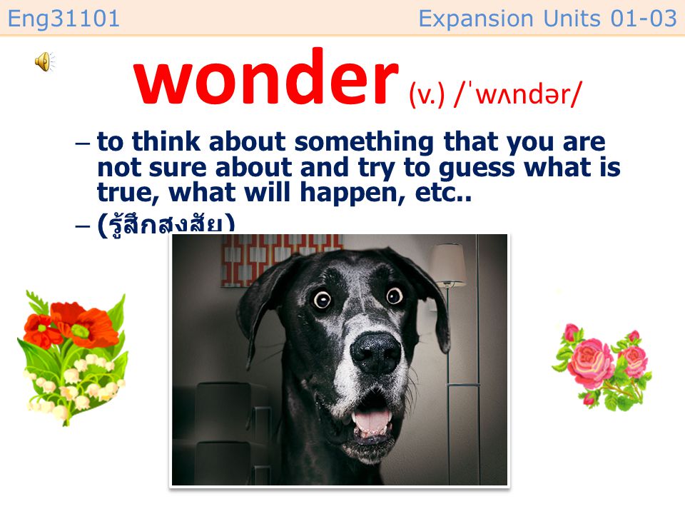 wonder (v.) /ˈwʌndər/ to think about something that you are not sure about and try to guess what is true, what will happen, etc..