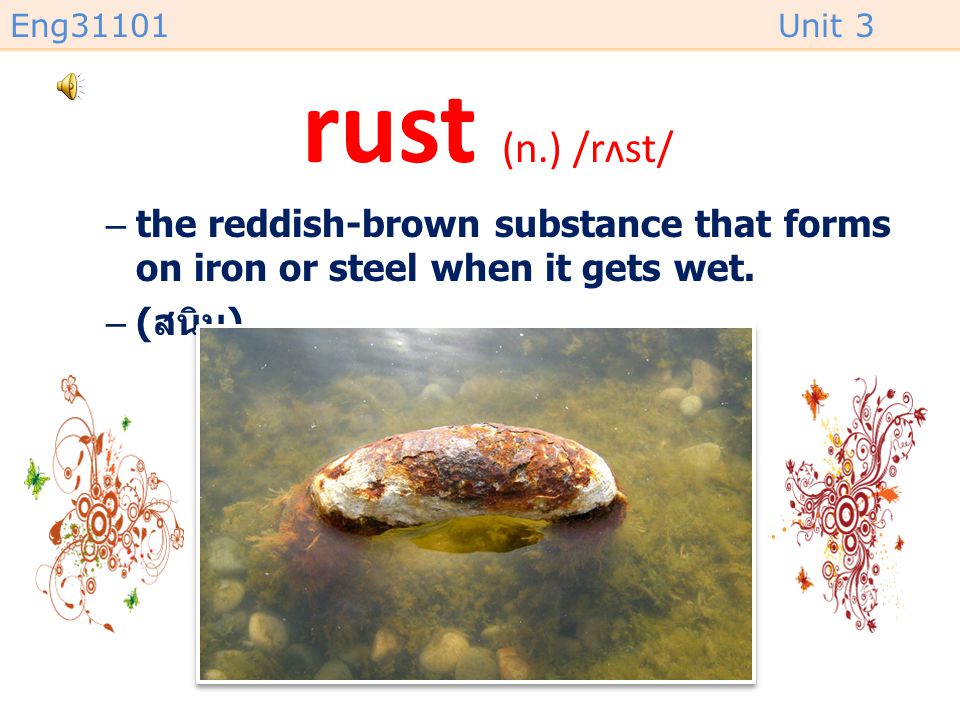 rust (n.) /rʌst/ the reddish-brown substance that forms on iron or steel when it gets wet. (สนิม)