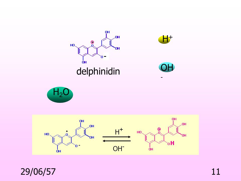 delphinidin H+ OH- H2O H+ OH- 03/04/60