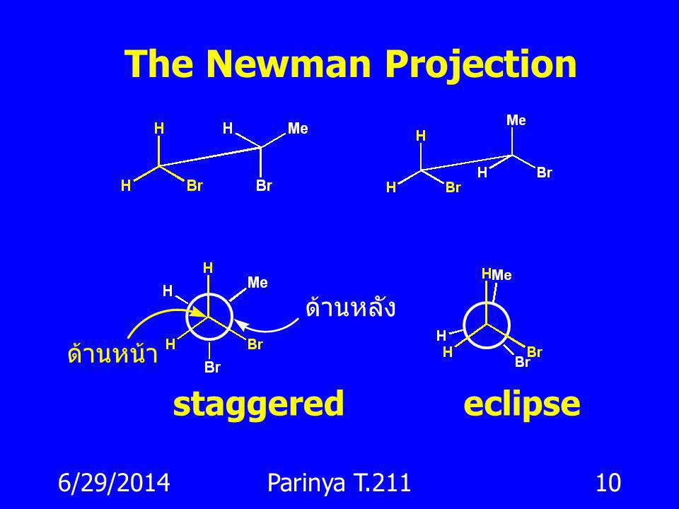 The Newman Projection staggered eclipse ด้านหลัง ด้านหน้า 4/3/2017