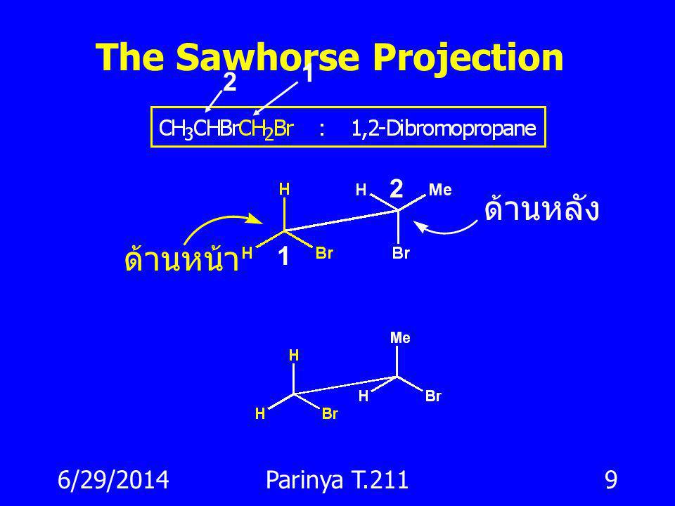 The Sawhorse Projection