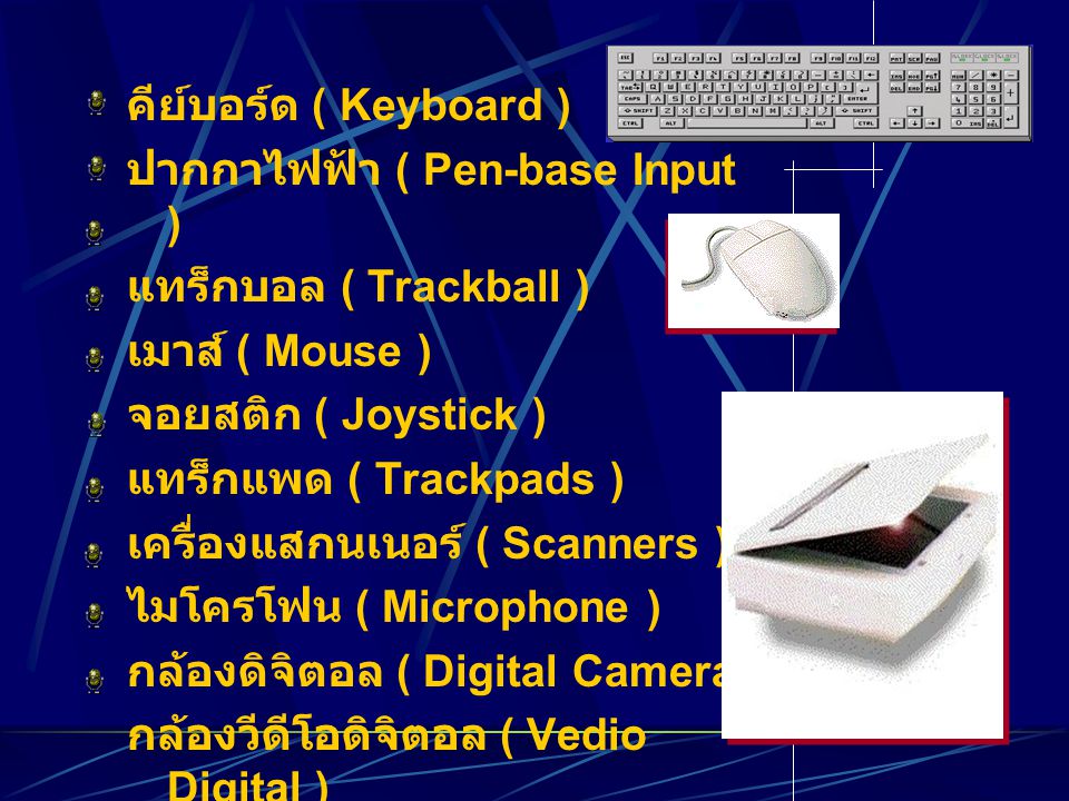 คีย์บอร์ด ( Keyboard ) ปากกาไฟฟ้า ( Pen-base Input ) แทร็กบอล ( Trackball ) เมาส์ ( Mouse ) จอยสติก ( Joystick )