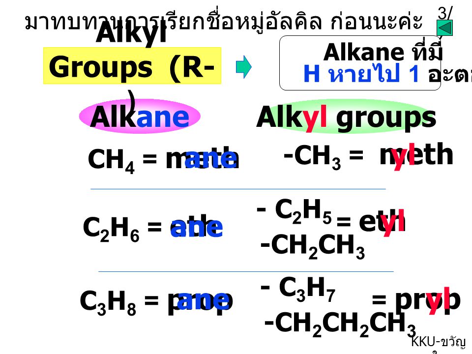 Alkyl Groups (R-) Alkane Alkyl groups