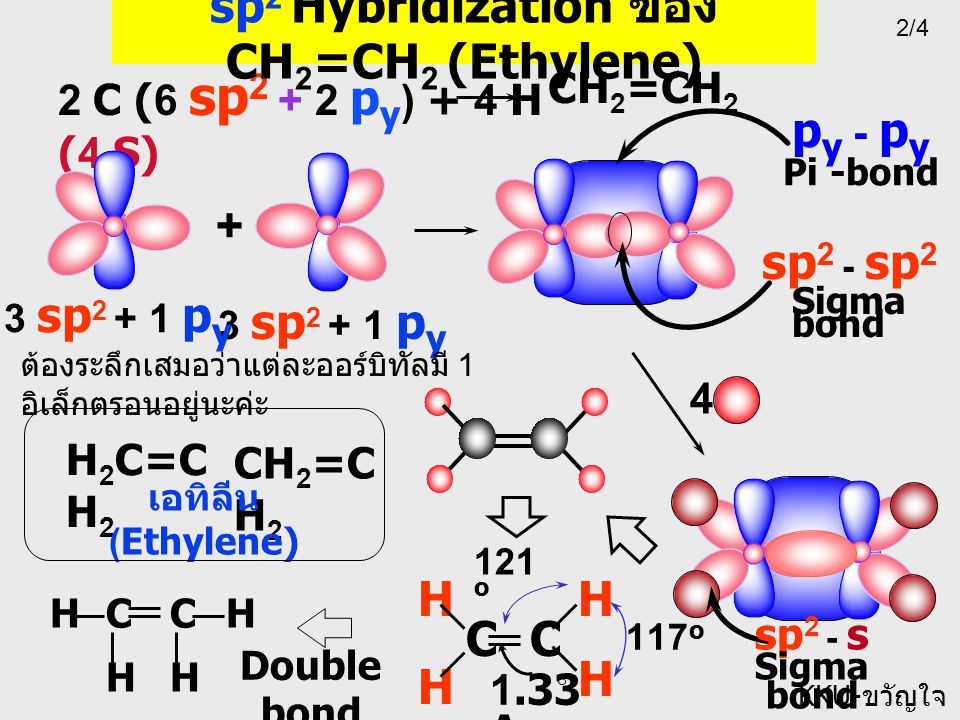 sp2 Hybridization ของ CH2=CH2 (Ethylene)
