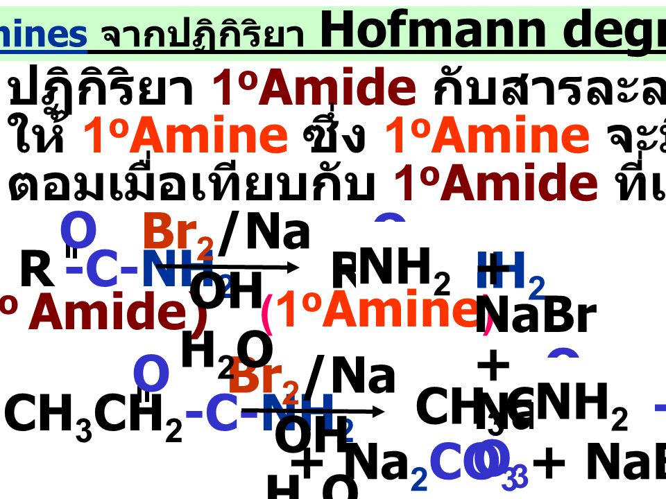 4.เตรียม Amines จากปฏิกิริยา Hofmann degradation