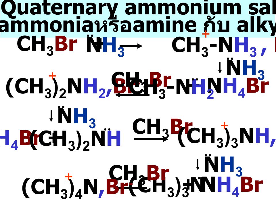 เตรียม Quaternary ammonium salts จาก