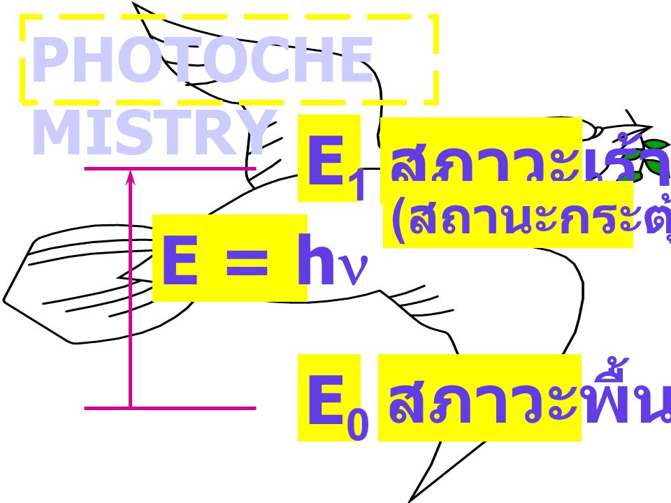 PHOTOCHEMISTRY E = hn E1 E0 สภาวะพื้น สภาวะเร้า (สถานะกระตุ้น)