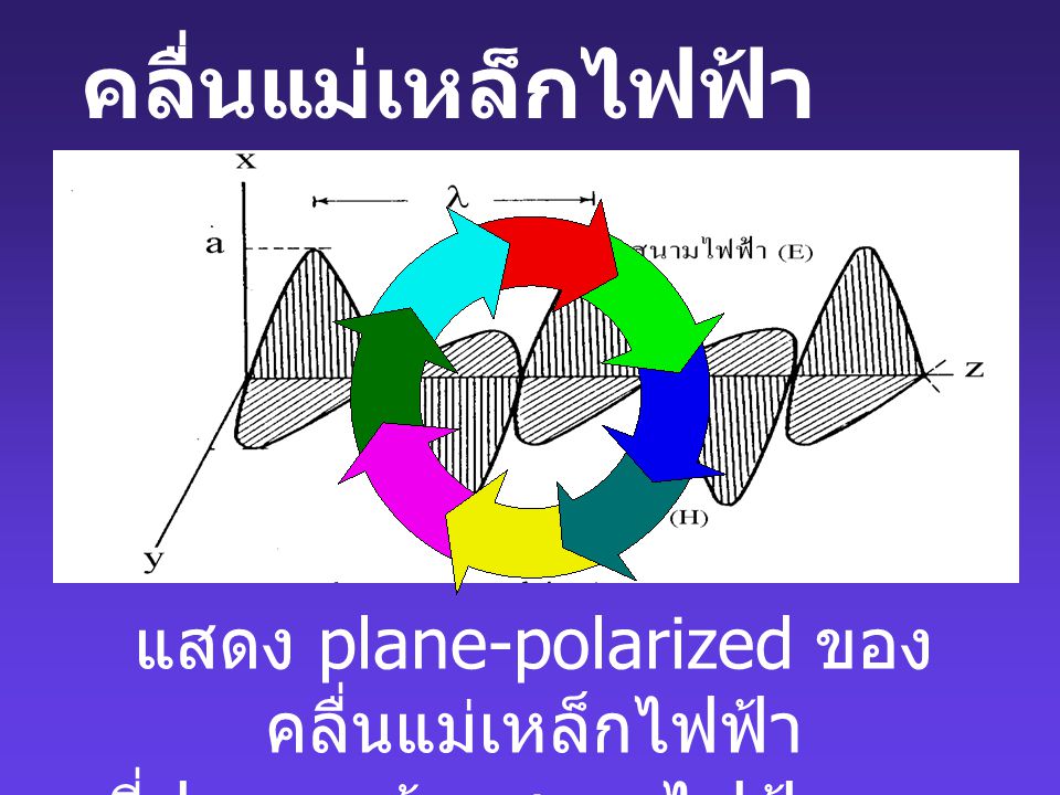 คลื่นแม่เหล็กไฟฟ้า แสดง plane-polarized ของคลื่นแม่เหล็กไฟฟ้า