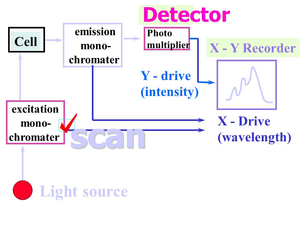 scan scan Detector Light source Cell X - Y Recorder Y - drive