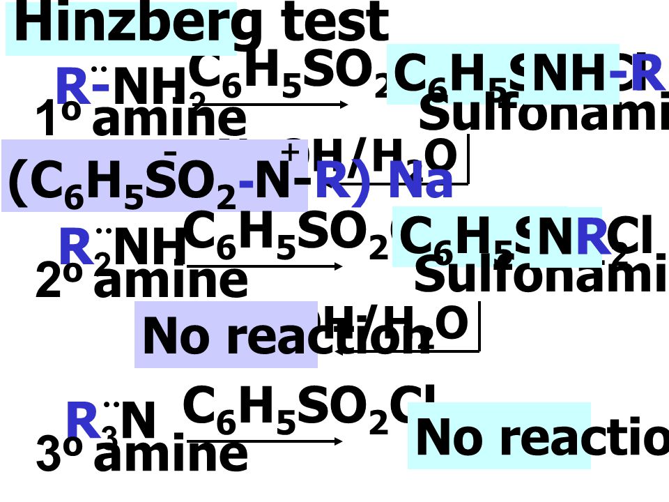 Hinzberg test C6H5SO2Cl C6H5SO2Cl NH-R R-NH2 1o amine Sulfonamide