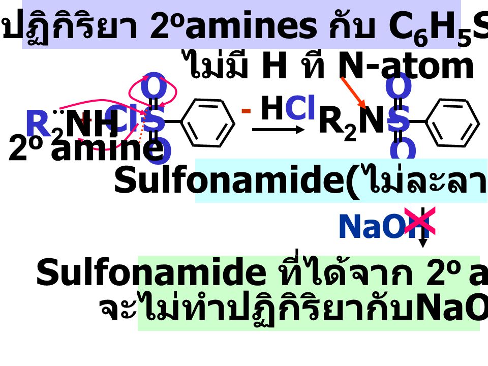 x กลไกปฏิกิริยา 2oamines กับ C6H5SO2Cl ไม่มี H ที่ N-atom S O R2N- S O