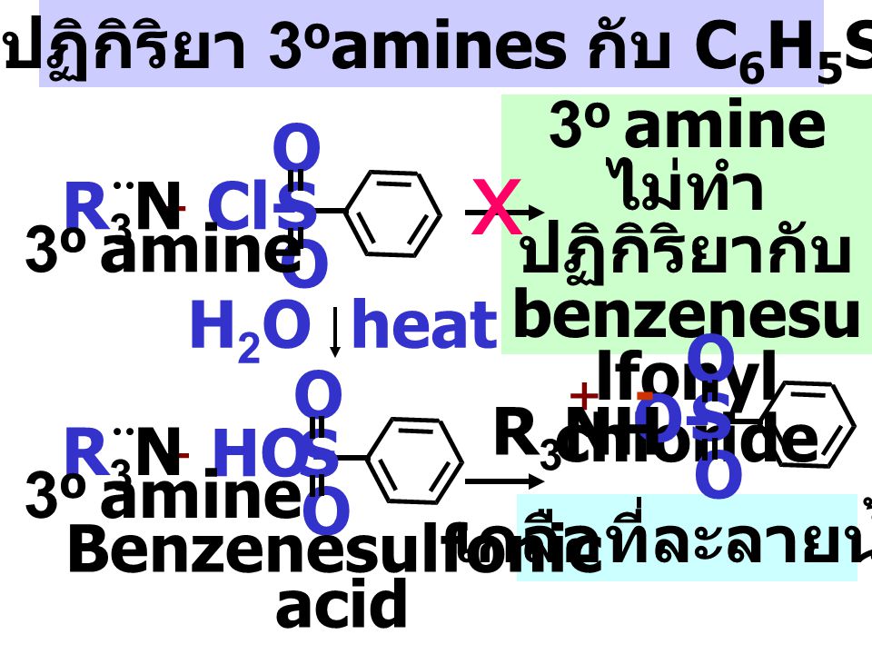 x กลไกปฏิกิริยา 3oamines กับ C6H5SO2Cl 3o amine ไม่ทำปฏิกิริยากับ O