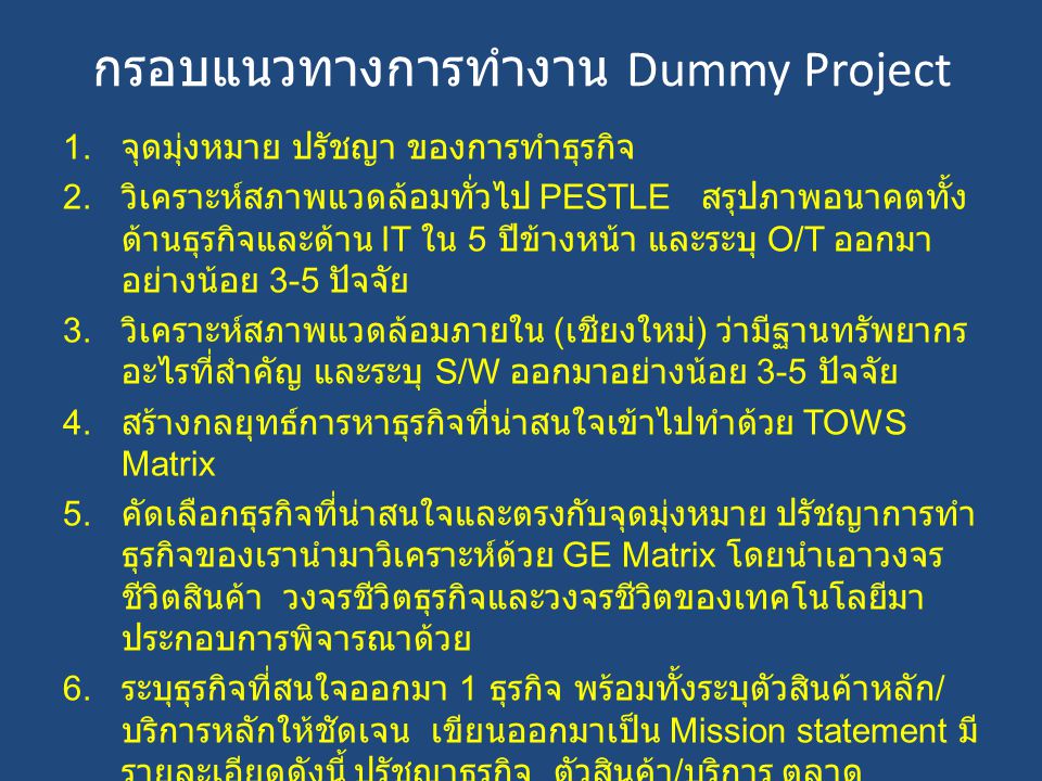 กรอบแนวทางการทำงาน Dummy Project