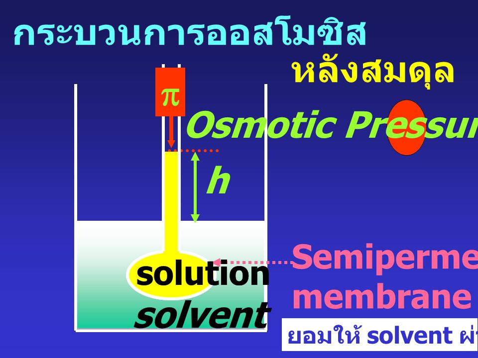 กระบวนการออสโมซิส หลังสมดุล p Osmotic Pressure : p h solvent solution