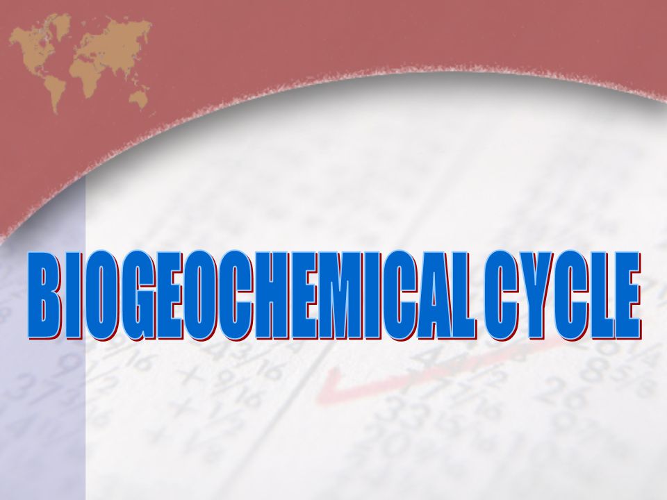 BIOGEOCHEMICAL CYCLE