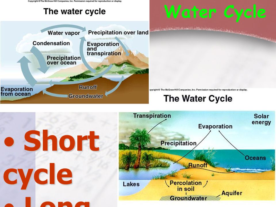 Water Cycle Short cycle Long cycle