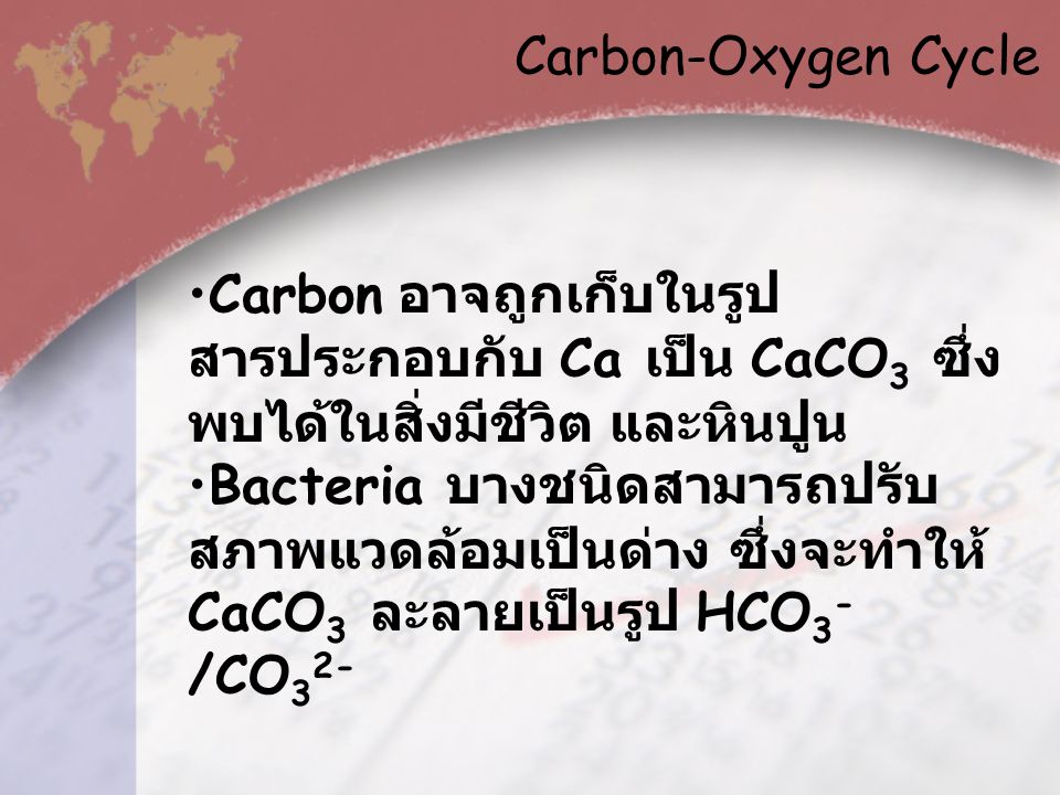 Carbon-Oxygen Cycle Carbon อาจถูกเก็บในรูปสารประกอบกับ Ca เป็น CaCO3 ซึ่งพบได้ในสิ่งมีชีวิต และหินปูน.