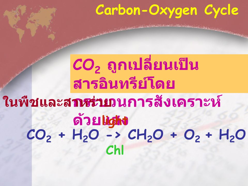 CO2 ถูกเปลี่ยนเป็นสารอินทรีย์โดยกระบวนการสังเคราะห์ด้วยแสง