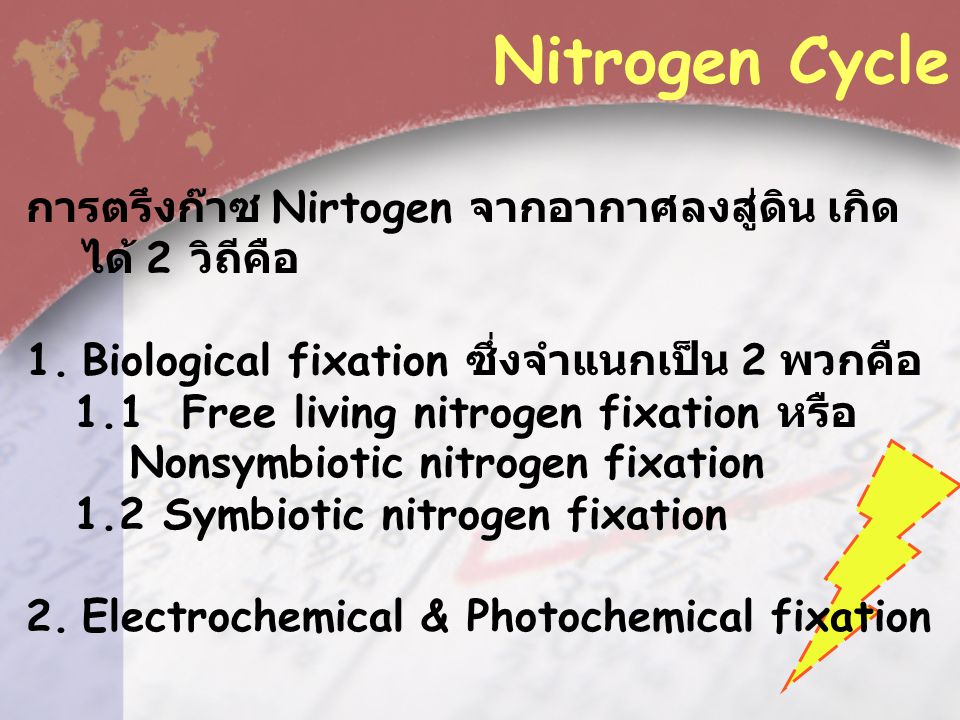 Nitrogen Cycle การตรึงก๊าซ Nirtogen จากอากาศลงสู่ดิน เกิดได้ 2 วิถีคือ