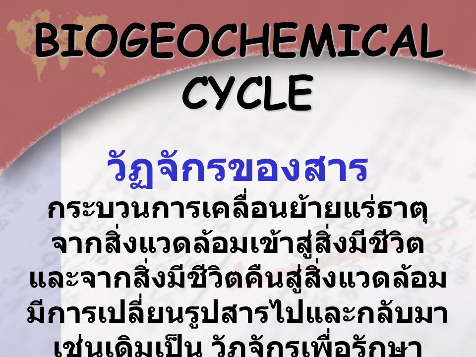 BIOGEOCHEMICAL CYCLE วัฏจักรของสาร