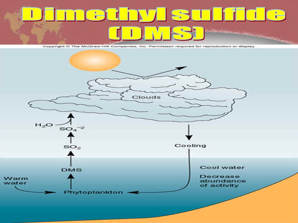 Dimethyl sulfide (DMS)