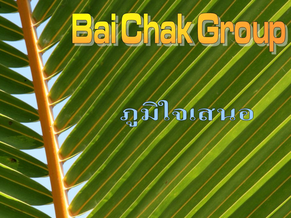 Bai Chak Group ภูมิใจเสนอ