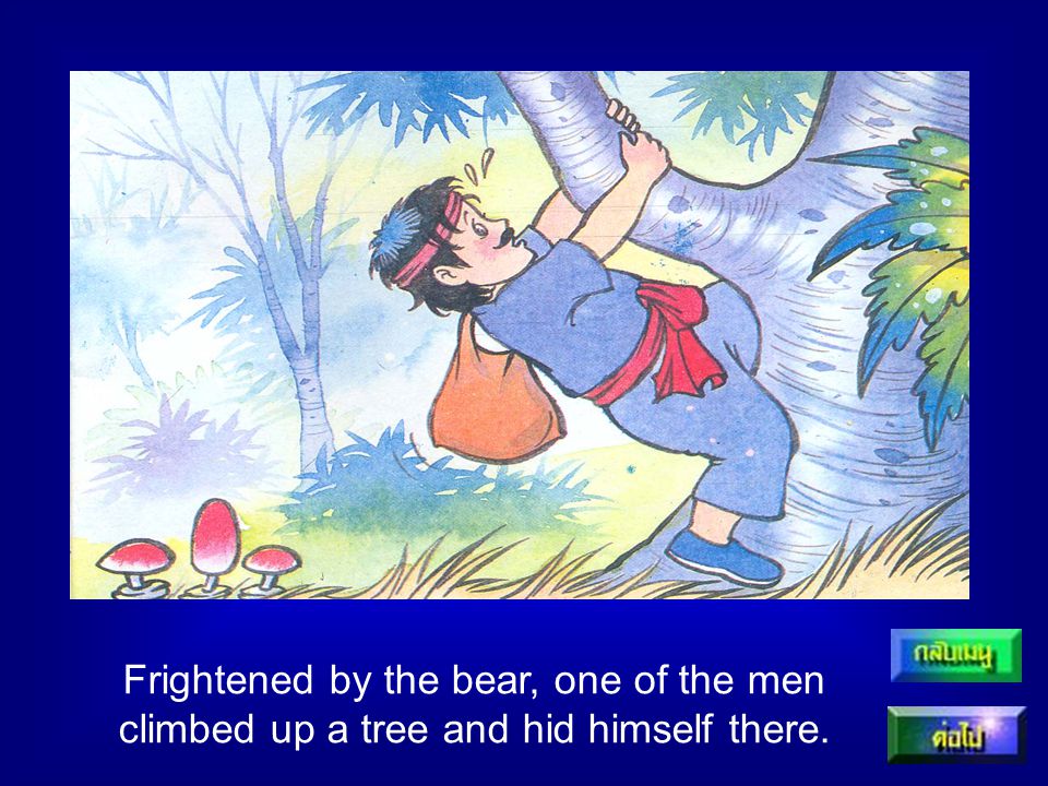 Frightened by the bear, one of the men climbed up a tree and hid himself there.