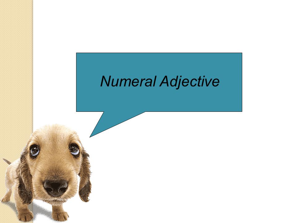Numeral Adjective