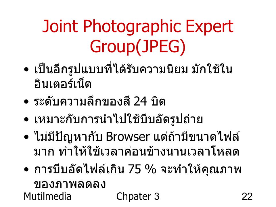 Joint Photographic Expert Group(JPEG)