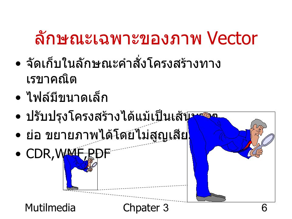 ลักษณะเฉพาะของภาพ Vector