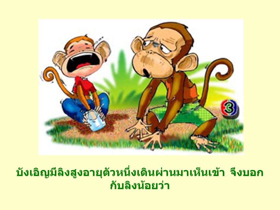 บังเอิญมีลิงสูงอายุตัวหนึ่งเดินผ่านมาเห็นเข้า จึงบอกกับลิงน้อยว่า